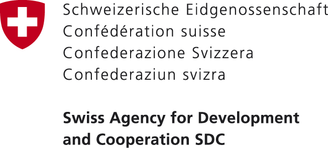 deza Logo